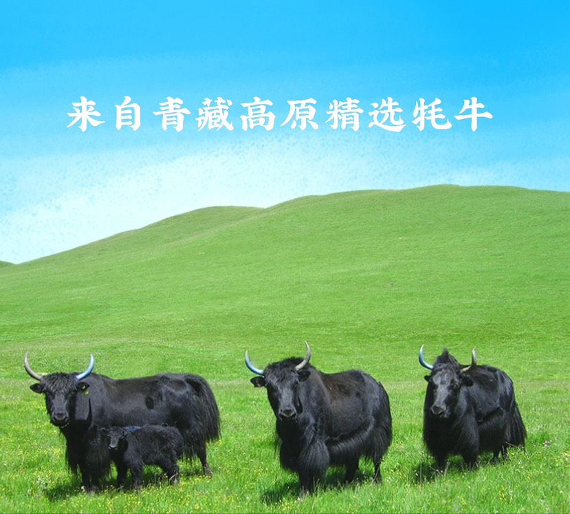 青海西宁 高原特产散称独立包装 手撕牦牛肉干。